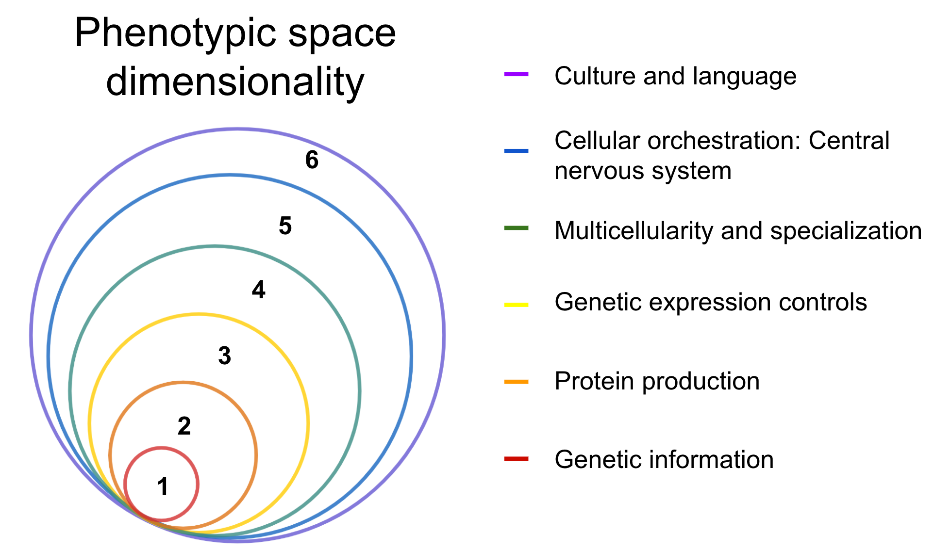 Phenotypic space dimensionality