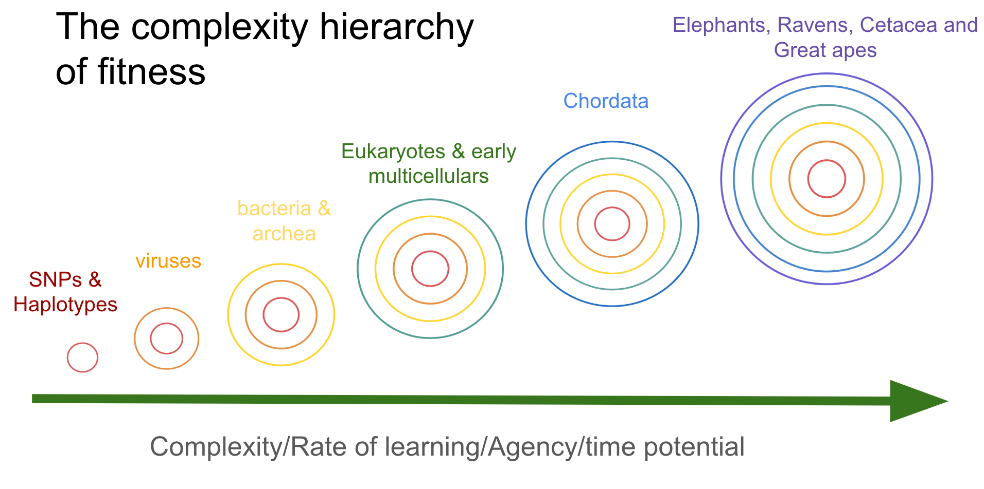 The agentic interpretation of biological fitness